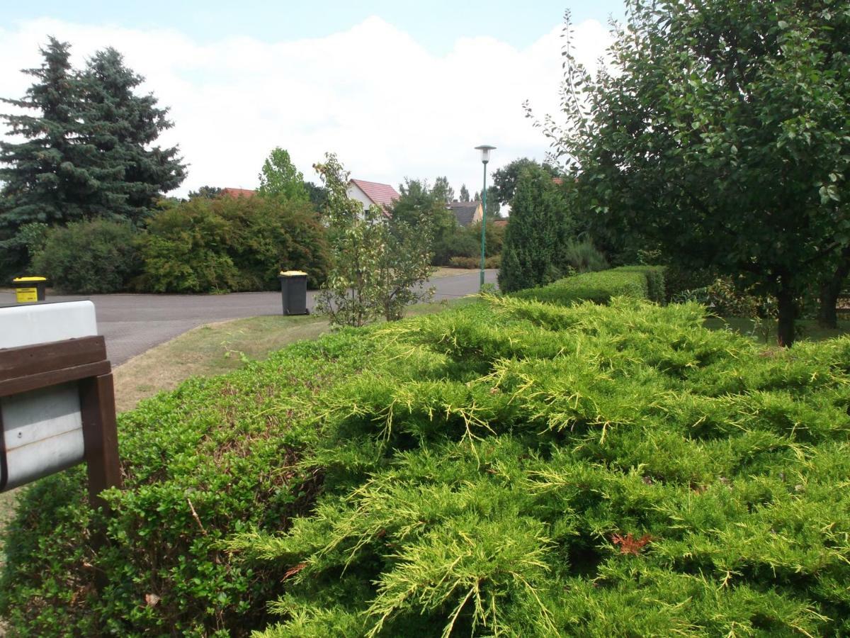 GuhrowHaus Am Wald公寓 外观 照片